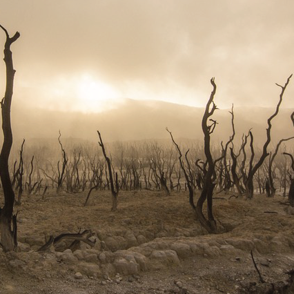 Vida rota - Misioneros Claretianos